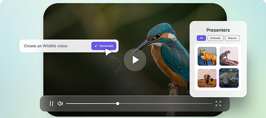 Video Creation